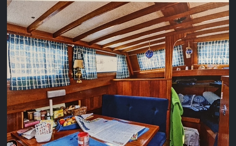 Family Cruiser Family Cruiser-kuva-5